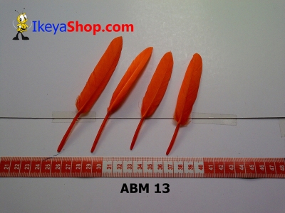 bulu angsa mini ABM 13   feather  large2